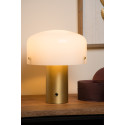TIMON Table lamp  E27/25W 35cm Matt Gold/Opal
