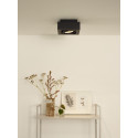 ZEFIX Ceiling Spotlight 1x Gu10/12W DTW Black
