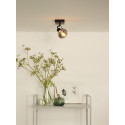 MADEE Ceiling spotlight  1x E14/25W Back/Smoke gla