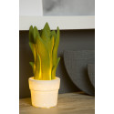 SANSEVIERIA - Stolová lampa - E14/25W H31.6cm - zelená