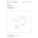 TAYLOR Ceiling Spotlight 2x GU10/5W IP44 DTW  Whit
