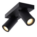 TAYLOR Ceiling Spotlight 2x GU10/5W IP44 DTW  Blac