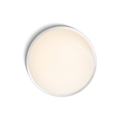 RENDL MELISA 25 stropná hliník 230V LED 12W 3000K