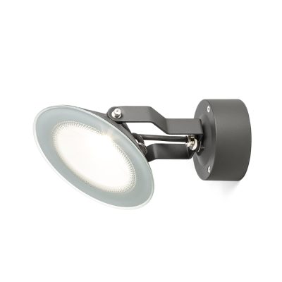 RENDL FOX vonkajší reflektor antracitová 230V LED 9W 120° IP65 3000K