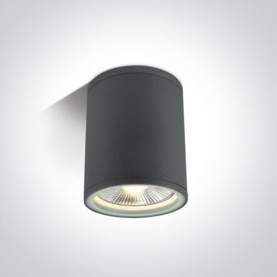 67132C/AN ANTHRACITE CYLINDER PAR30 E27 20W IP54