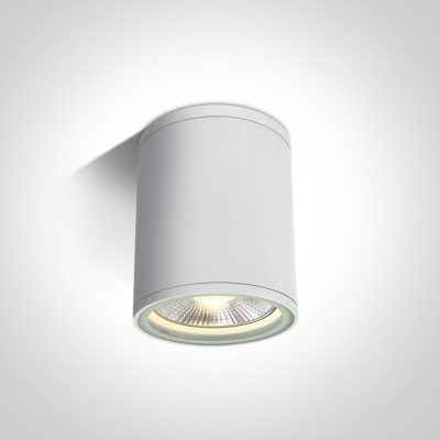 67132C/W WHITE CYLINDER PAR30 E27 20W IP54