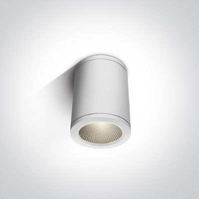 67138C/W/W WHITE COB LED 6W WW IP54 100-240V