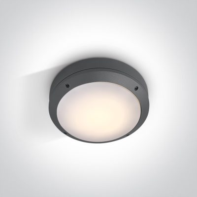 67204/AN ANTHRACITE IP54 E27 12W