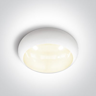 67218E/W/V WHITE EMERGENCY 3Hrs PLAFO 15W CCTV IP65 230V