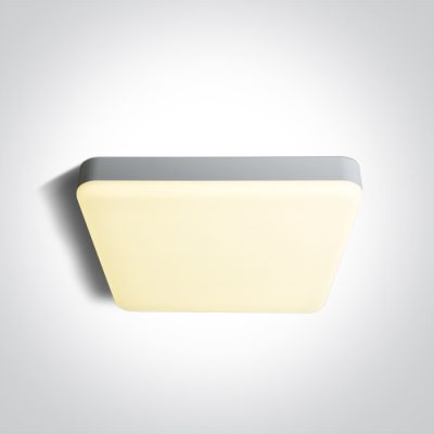 67220E/W/V WHITE PLAFO 35W CCTV IP65 230V