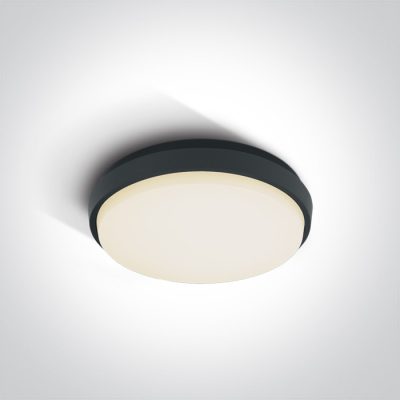 67362/AN/W ANTHRACITE PLAFO 20W WW IP54 230V