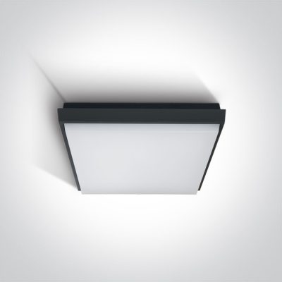 67362A/AN/W ANTHRACITE PLAFO 20W WW IP54 230V