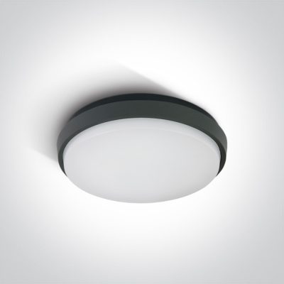 67363/AN/W ANTHRACITE PLAFO 30W WW IP54 230V