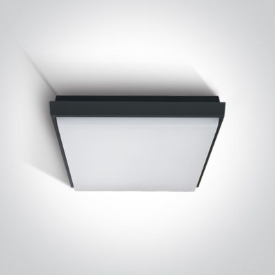 67363A/AN/W ANTHRACITE PLAFO 30W WW IP54 230V