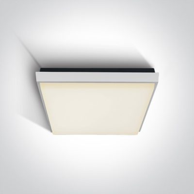 67363A/W/W WHITE PLAFO 30W WW IP54 230V