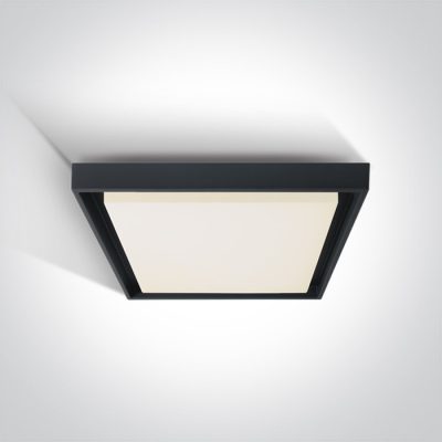 67384A/AN/W ANTHRACITE PLAFO LED 30W WW IP54 230V