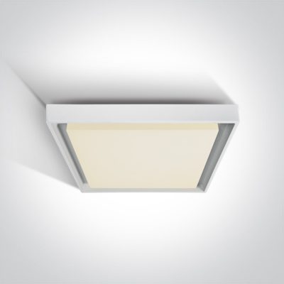 67384A/W/W WHITE PLAFO 30W WW IP54 230V