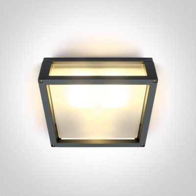 67420B/AN ANTHRACITE E27 2x12W PLAFO IP54