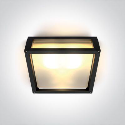 67420B/B BLACK E27 2x12W PLAFO IP54