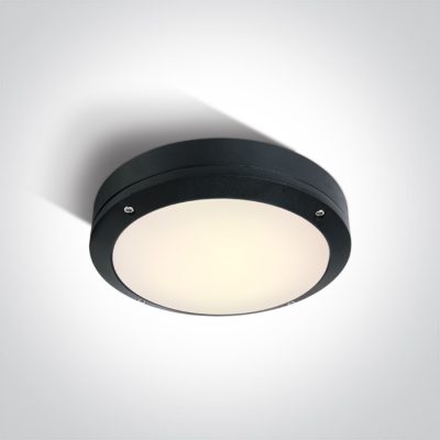 67442/B/W BLACK PLAFO 10W WW IP54 230V