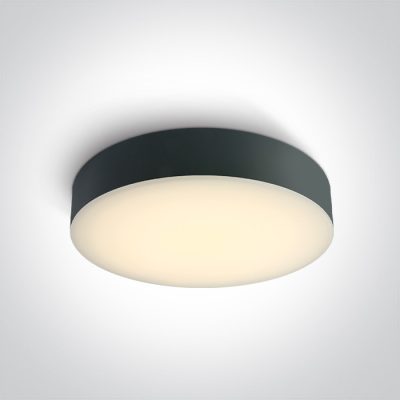 67498/AN/V ANTHRACITE PLAFO 20W CCTV IP65 230V