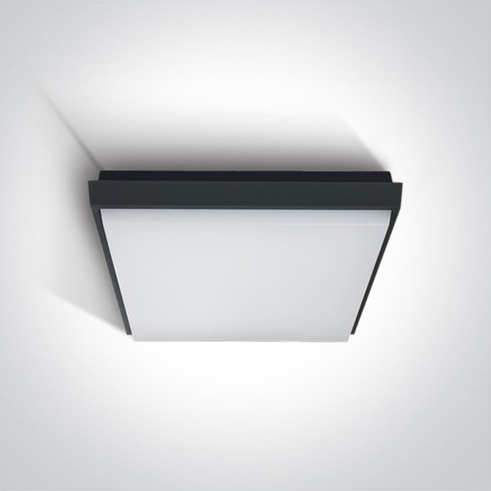 67363A/AN/W ANTHRACITE PLAFO 30W WW IP54 230V – obrázok 1