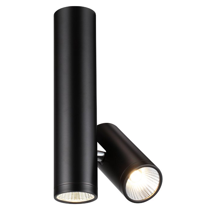 RENDL BOGARD TWIN stropná matná čierna 230V LED 2x5W 40° 3000K – obrázok 1